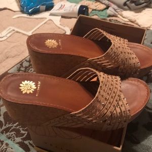Yellow box Wedges